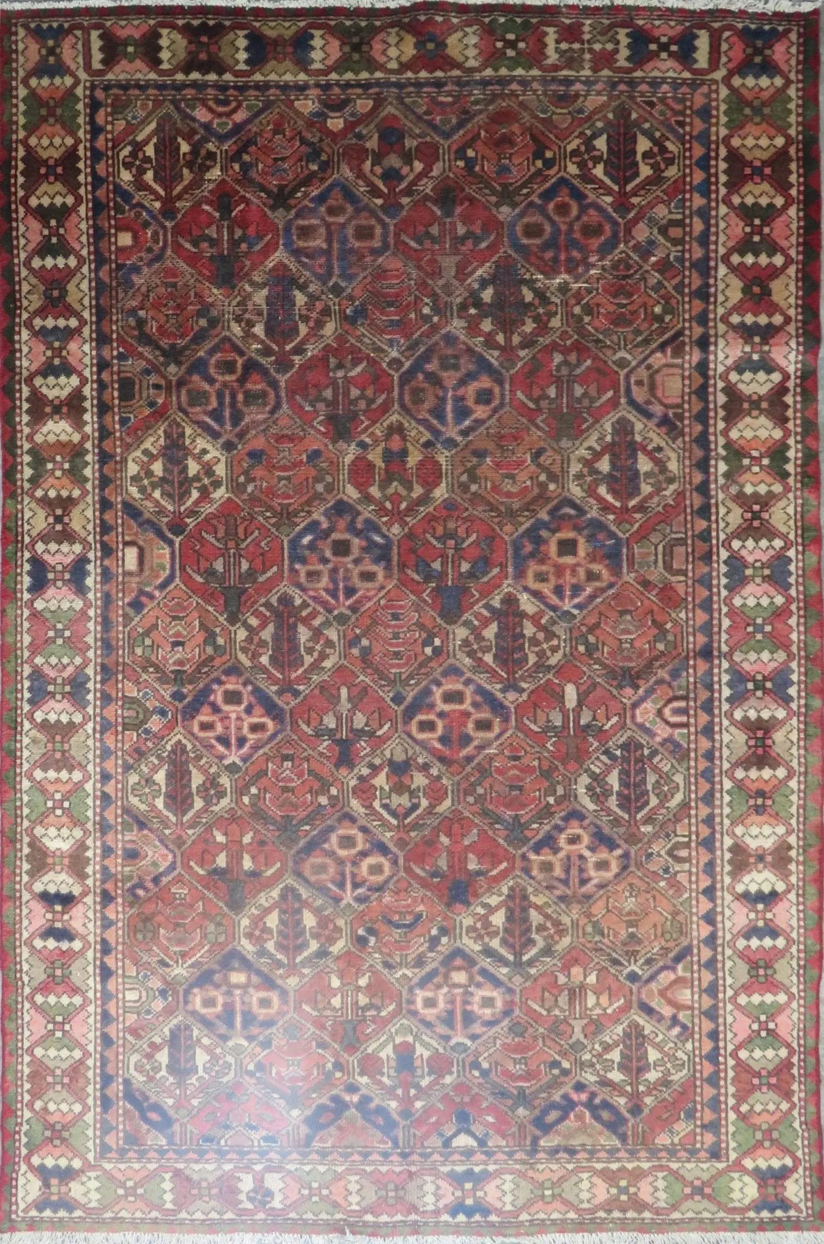 IMG 626 scaled 06456979 3bcc 4510 99f7 98a1284b5772